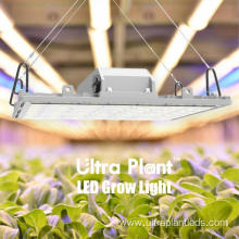 High quality Supplemental Grow Light Deep Red